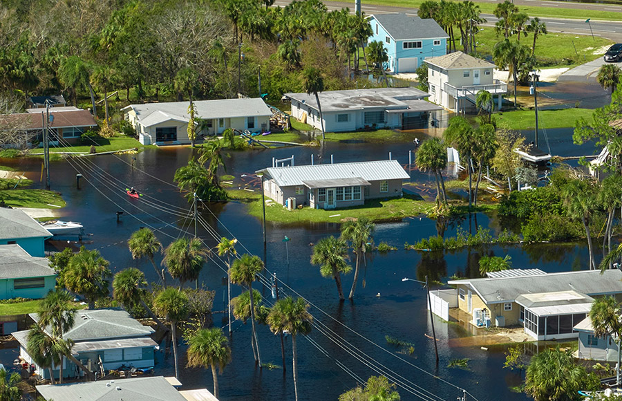 Webinar “Cambio climático, fenómenos extremos naturales y migraciones forzadas”